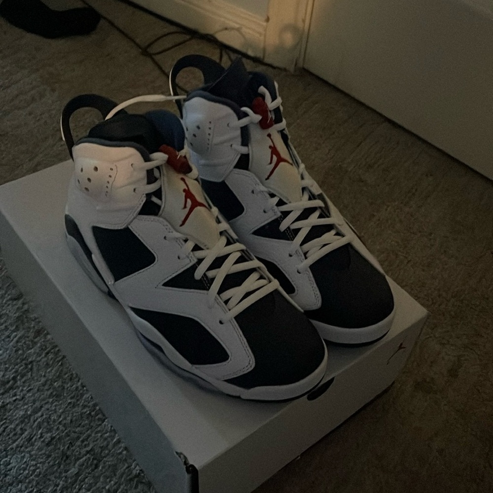 Brand new Jordan 6 retros